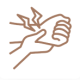 imagem_2026-05-29_150539138.png